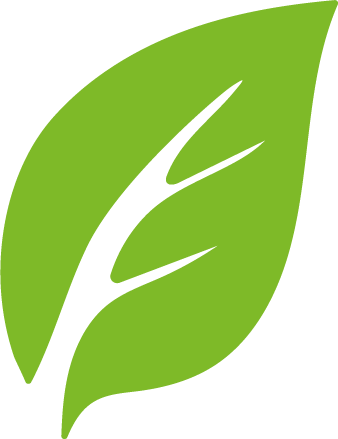 Blatt 300 grün Beauty am Schlossgarten