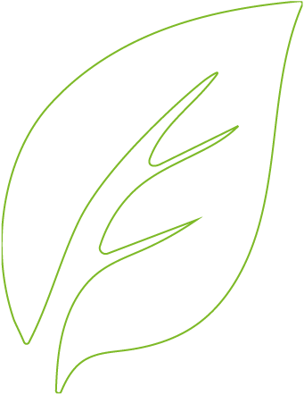 Blatt kontur rechts Beauty am Schlossgarten